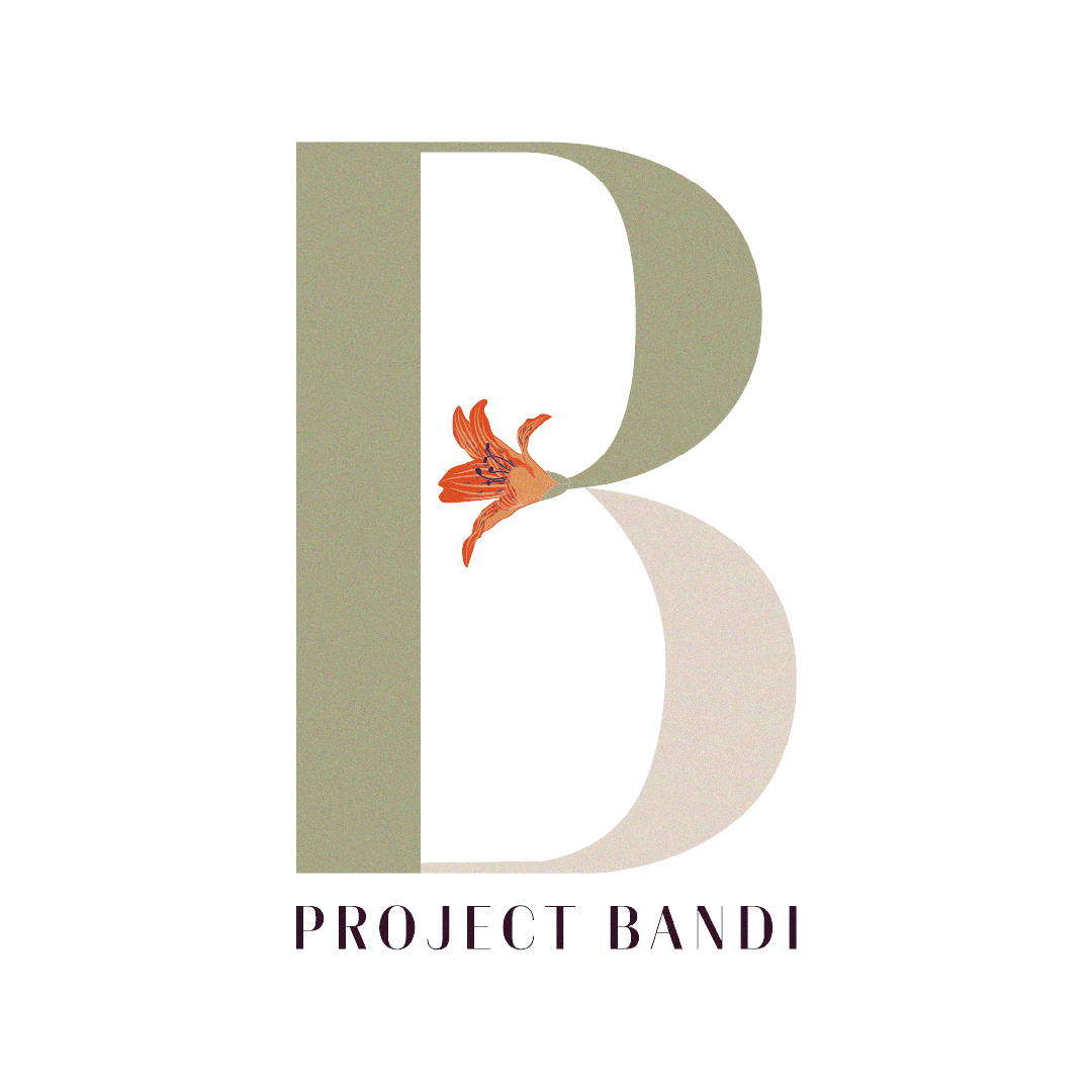 Project Bandi