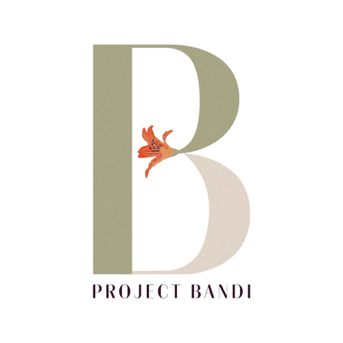 Project Bandi